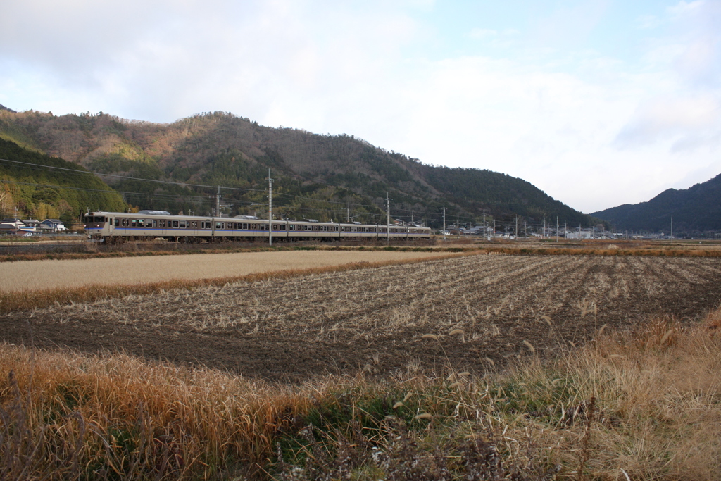 冬枯れの丹波路