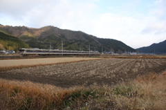 冬枯れの丹波路