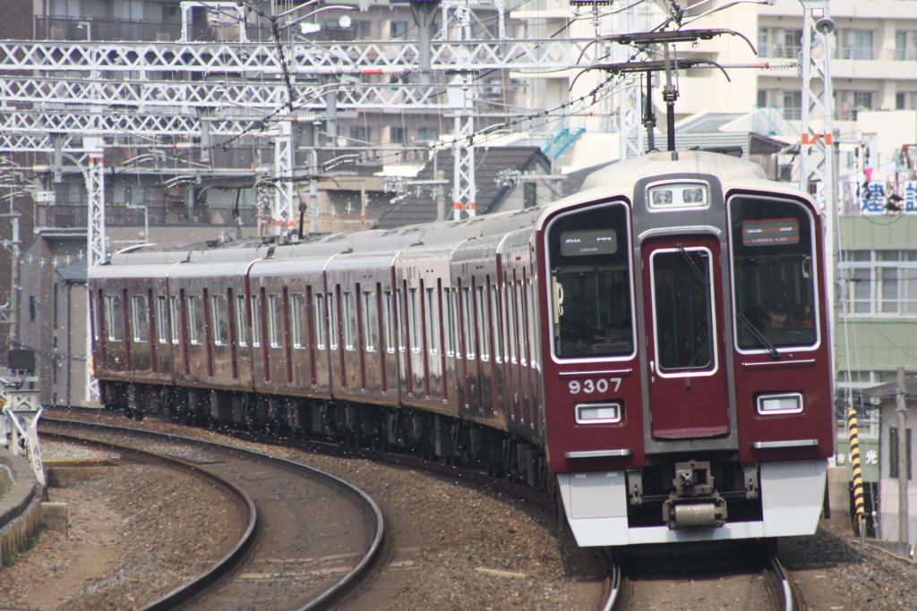 桜を巻き上げ
