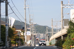 今日も平和。