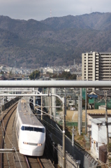 思い出をかみしめて