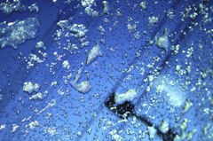雪解け水