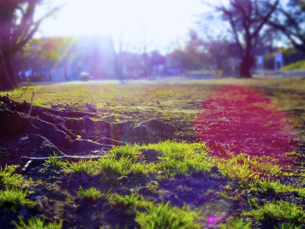 朝の公園