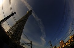 TST 黄昏の空