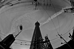 TST　モノクローム