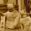いらっしゃいませ