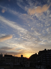 DSC00013