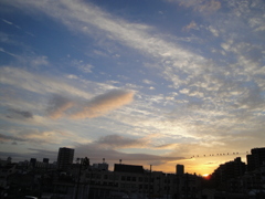 DSC00012