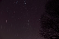 真冬の星空