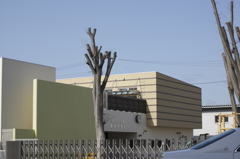 修善寺の保育園