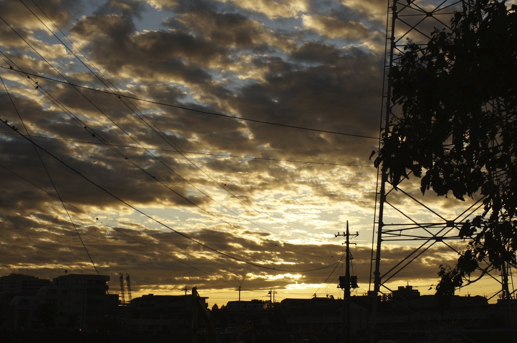 DSC06130