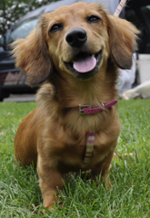 ＨＡＰＰＹ！