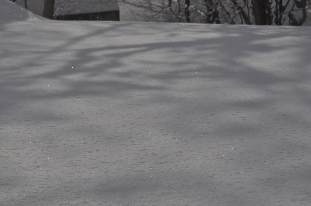 ダイヤモンドスノー