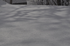 ダイヤモンドスノー