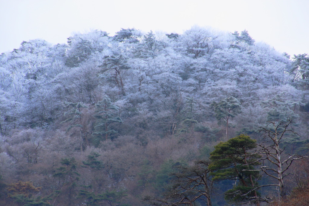 六甲山