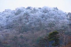 六甲山