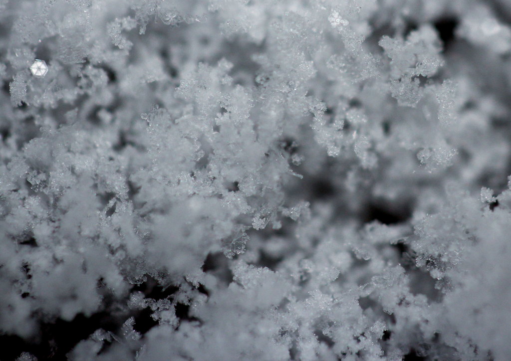 雪の結晶