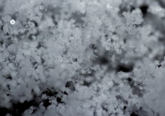 雪の結晶