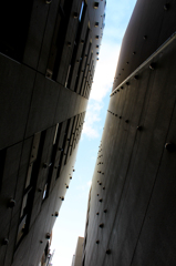 from the bottom of a ravine