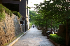 好きな道。