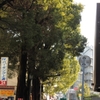 オークス通り
