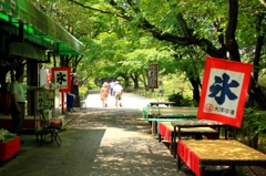 夏