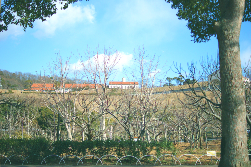NOTITLEⅢ：7