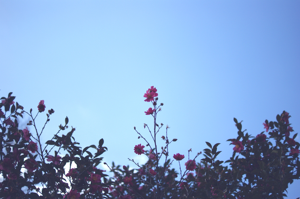 NOTITLEⅡ：17