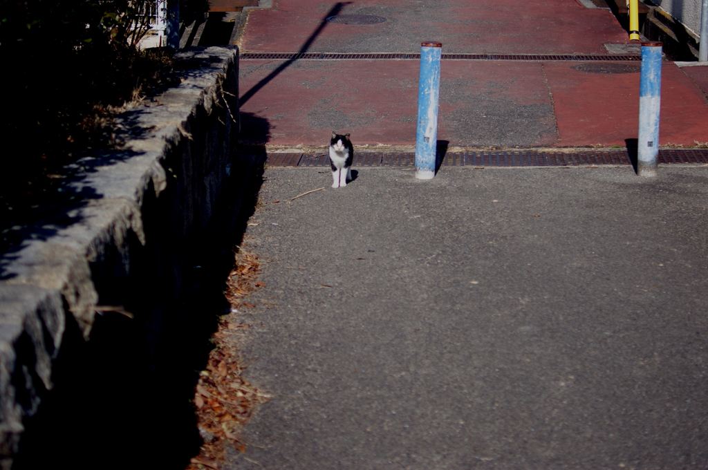 NOTITLE:16