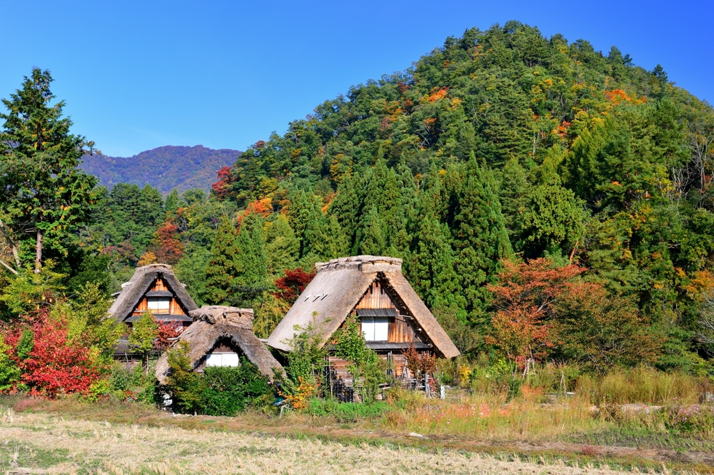 快晴　山里の秋