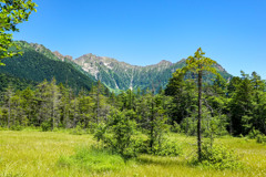夏の上高地　田代湿原越しに見る穂高連峰