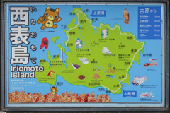 東洋のガラパゴス 西表島