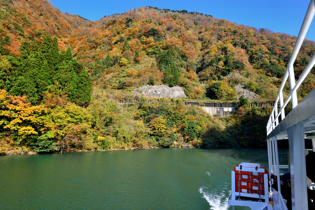 紅秋　庄川峡船の旅６