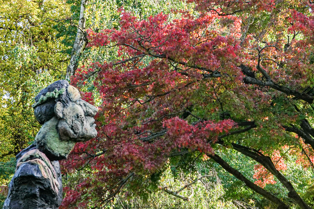 秋のボン　紅葉♪　シュタットガルテン Stadtgarten