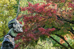 秋のボン　紅葉♪　シュタットガルテン Stadtgarten