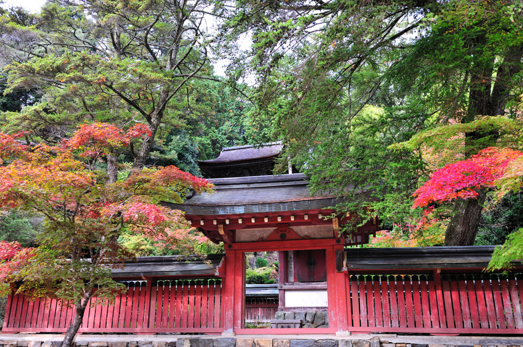 京都　三尾巡り　高雄山神護寺Ⅱ