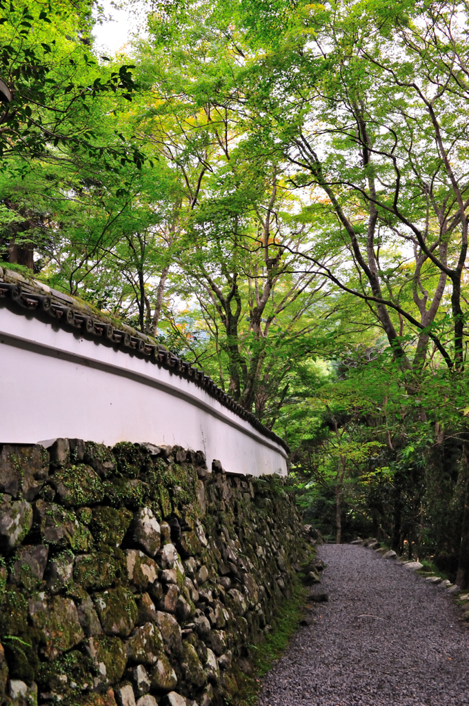 京都　三尾巡り　世界遺産　栂尾山高山寺Ⅹ