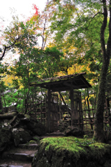京都　三尾巡り　世界遺産　栂尾山高山寺Ⅸ