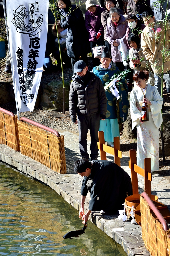 奇祭　厄払い鯉の放流　その４