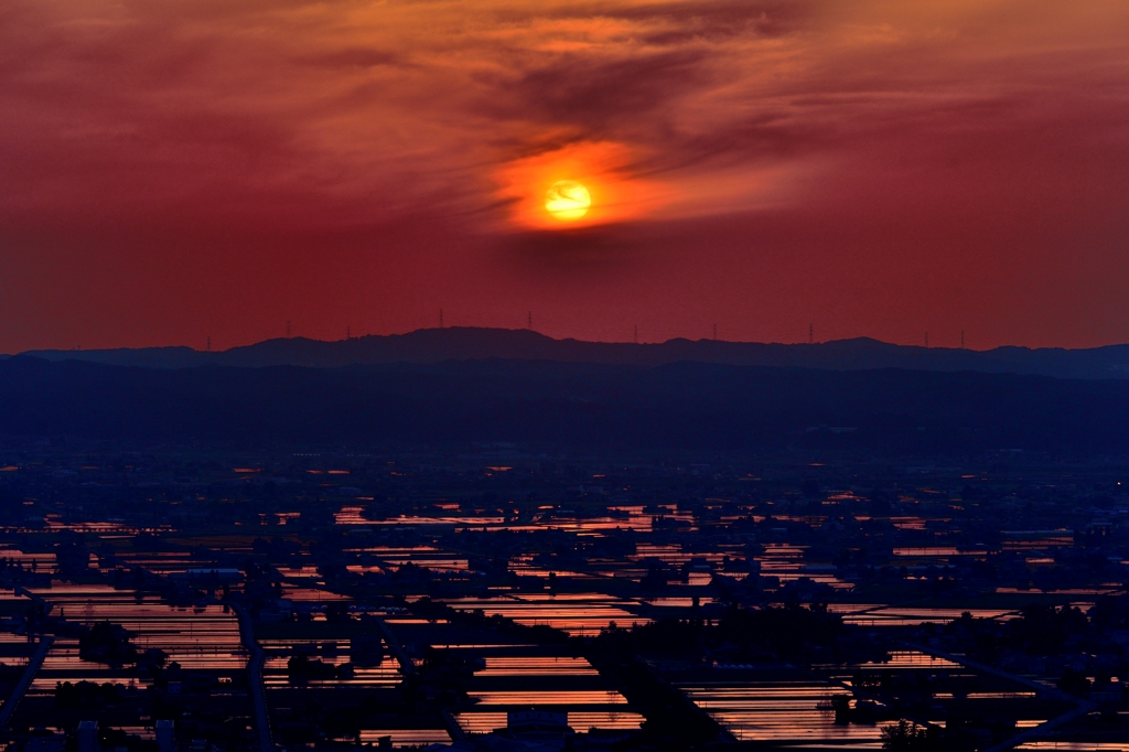 零れ夕日に染まる