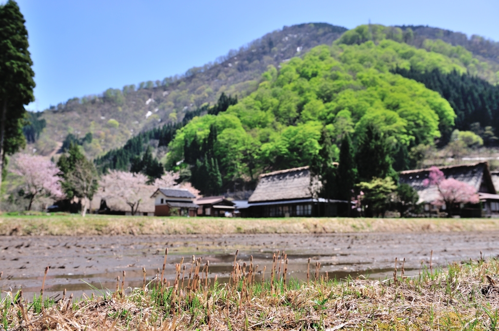 うららかな山里の春