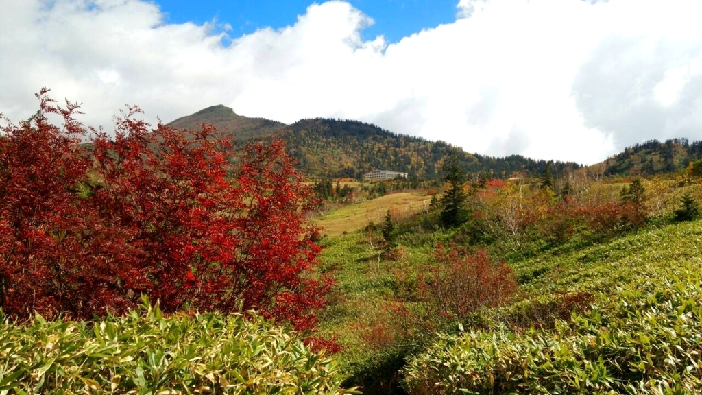 妻からの写真レター　@立山・弥陀ヶ原