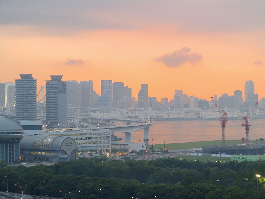 ゲリラ豪雨の後・・・