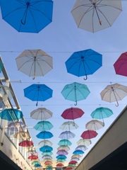 カラフル雨傘ロード