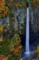 世界に誇る美しき滝　白水の滝