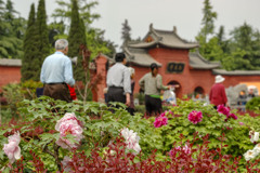 2005年中国の旅２　白馬寺＠河南省 洛陽