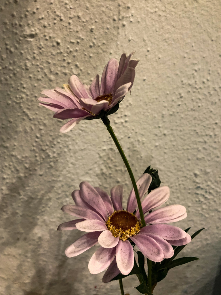 Künstliche Blumeでも心和む＠ボン
