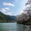 庄川・桜めぐり その10