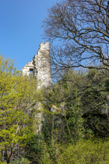 竜の岩山山頂に残るドラッフェンフェルス城址