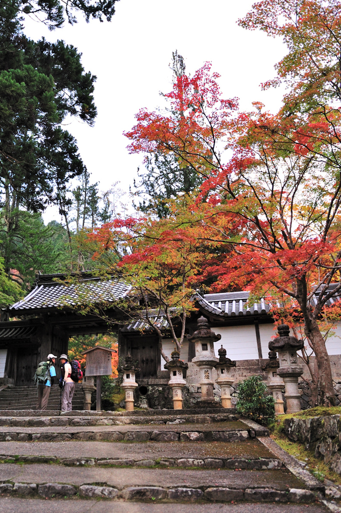 京都　三尾巡り　槙尾山西明寺Ⅰ